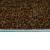 Ковролин Liberty 10167 Urggazcarpet 