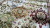 Ковер "Kandahar" (2013B_KEMIK / KEMIK) Прямой 1,5х2,3 Ковер "Kandahar" (2013B_KEMIK / KEMIK) Прямой 1,5х2,3