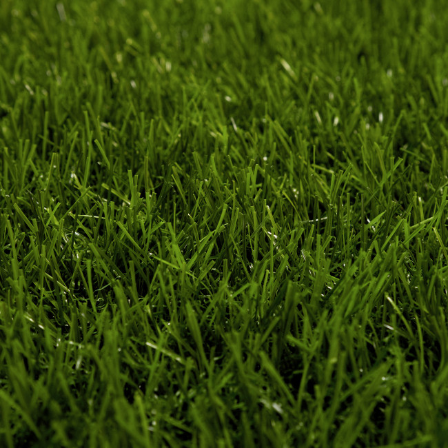 ​Искусственная трава Grass Ворс 25 мм