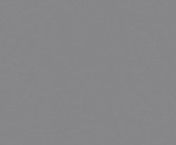 Линолеум спортивный коммерческий Tarkett Omnisports Action 40 Grey