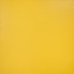 Линолеум спортивный коммерческий Tarkett Omnisports Action 40 Yellow