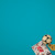 Линолеум спортивный коммерческий Tarkett Omnisports Action 65 Teal