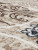 Ковер d310 - CREAM-BROWN Ковер d310 - CREAM-BROWN