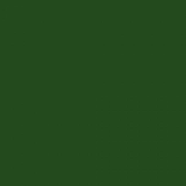 Линолеум спортивный коммерческий PROFI BIGFOOT 4.3/0.6 RICH GREEN (Россия / КМ2)